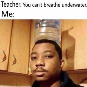 Meet your Posher, Posh